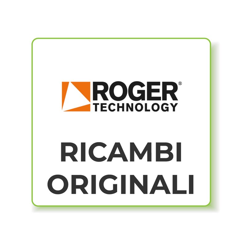 RS735 ROGER Cuscinetti + Oring Per Albero Principale