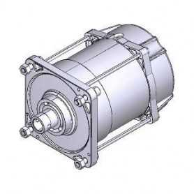 119RIE152 CAME Gruppo Motore - E456