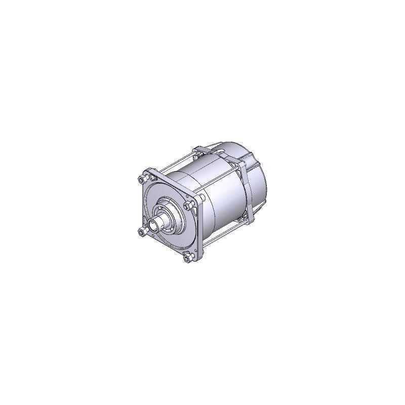 119RIE152 CAME Gruppo Motore - E456