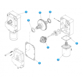 Ricambi LADY Gearbox...